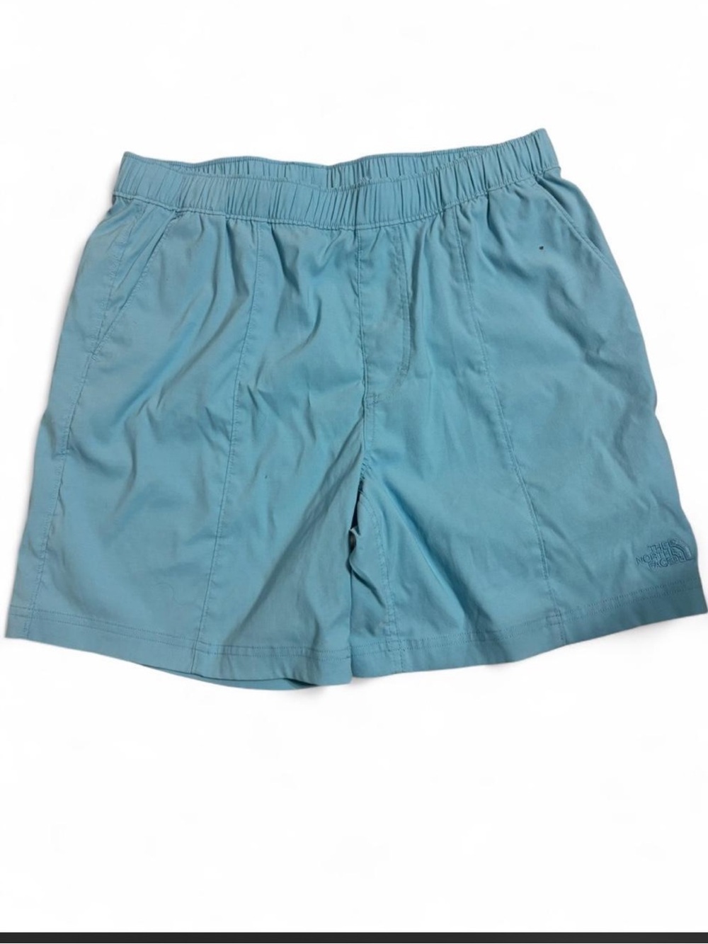 The North Face Men's Teal Shorts
